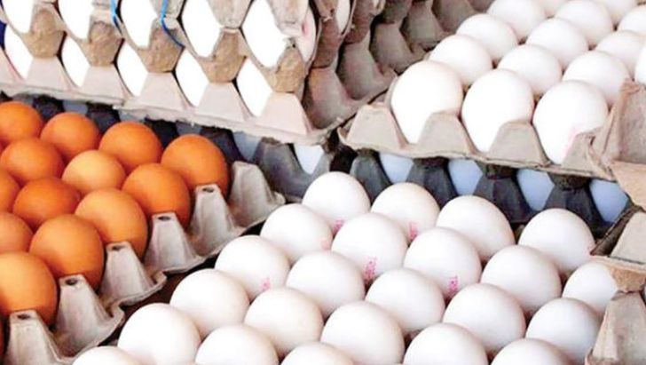 صادرات تخم‌مرغ نیازمند مشوق‌های دولتی است